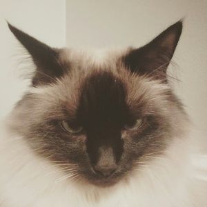 Meet your Posher, Vikranth •